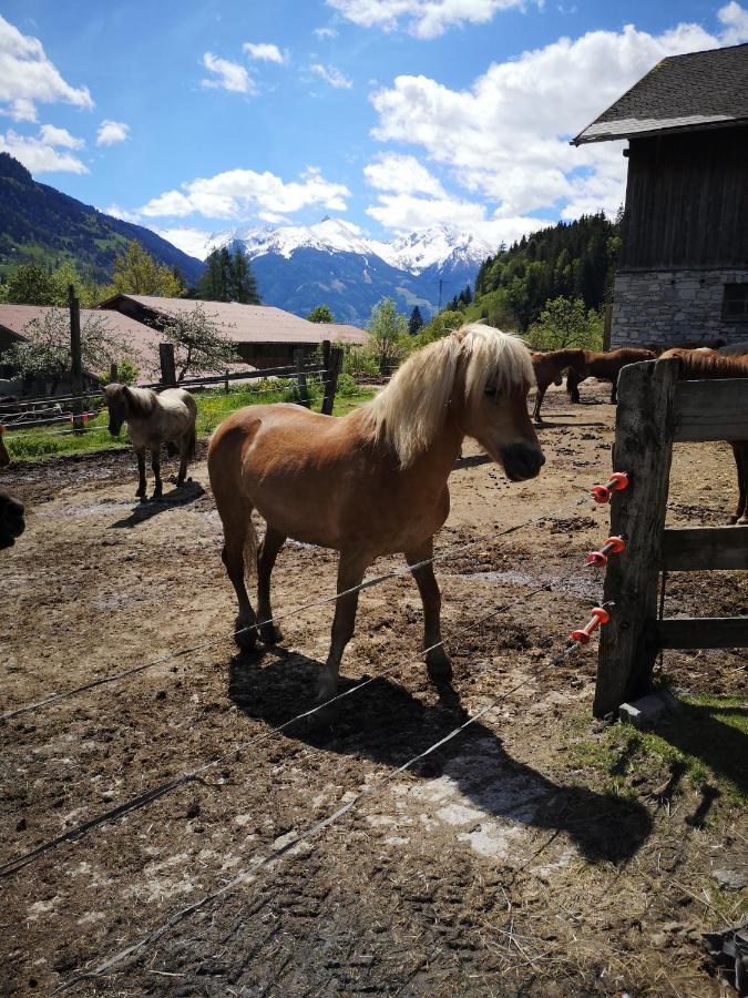 Haus Grugger Appartements Bad Hofgastein Dış mekan fotoğraf