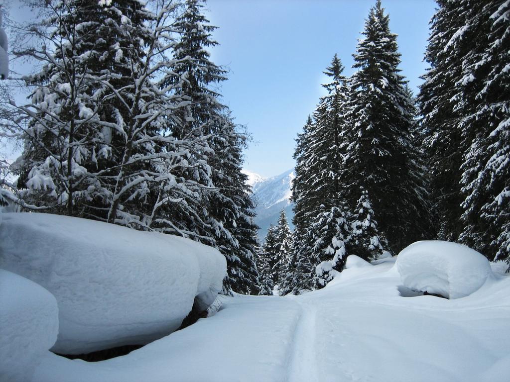 Haus Grugger Appartements Bad Hofgastein Dış mekan fotoğraf
